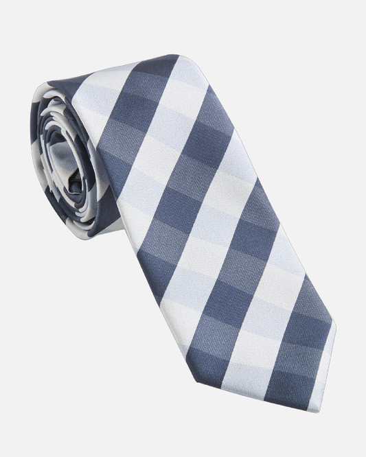 Immortal Navy Light Blue Checkered Dress Tie