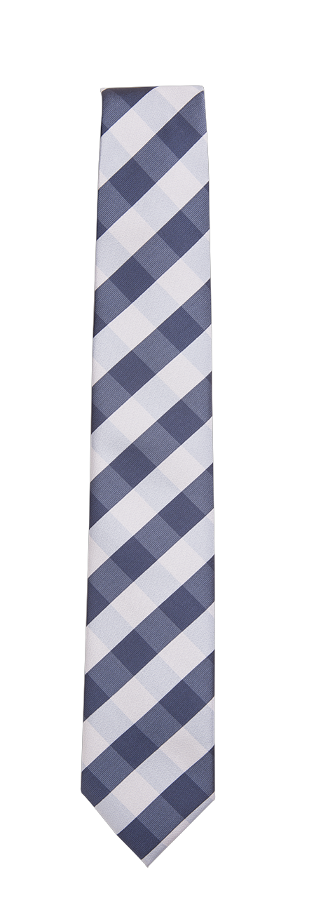 TRUWEAR Immortal Navy Light Blue Checkered Dress Tie